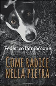 Come radici nella pietra