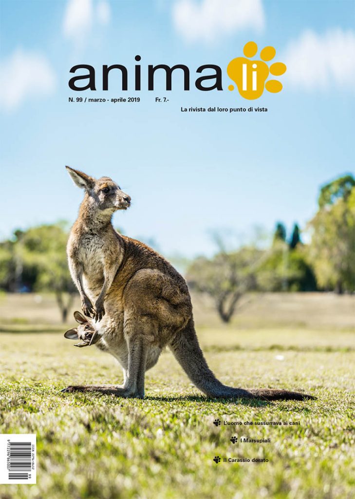 RivistaAnimali_99