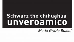 Schwarz Logo