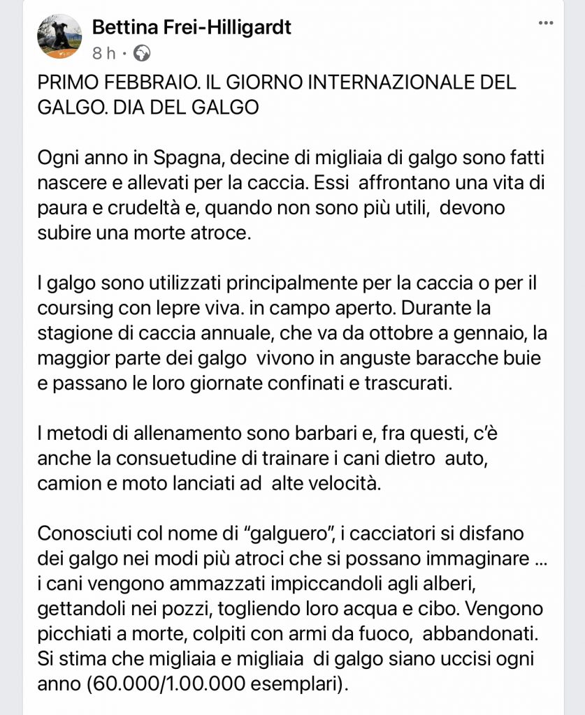 giorno del galgo