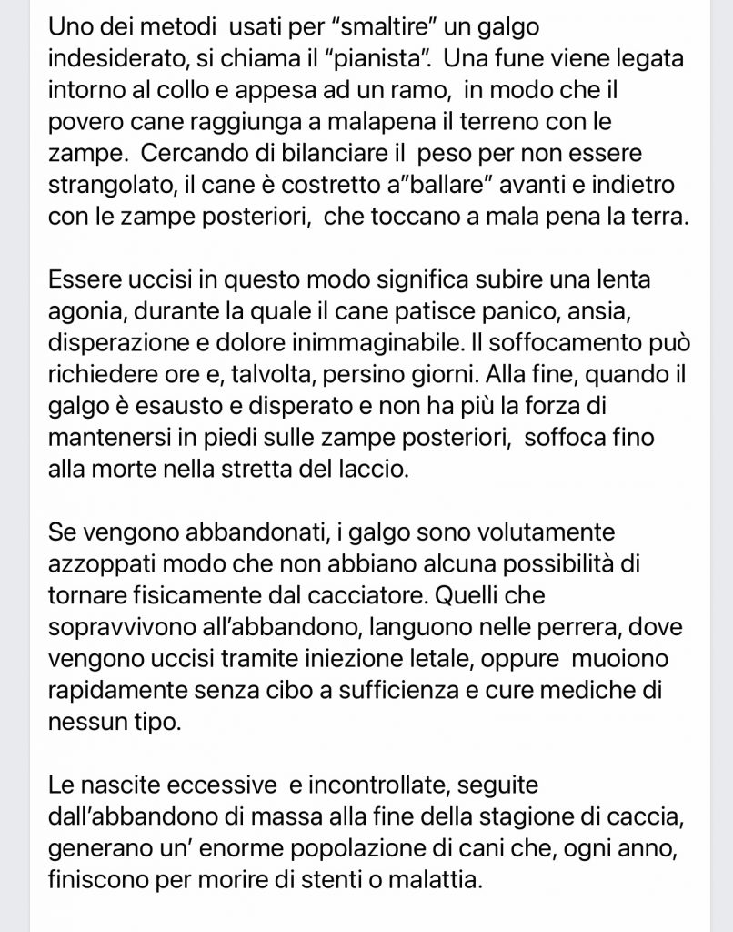 giorno del galgo