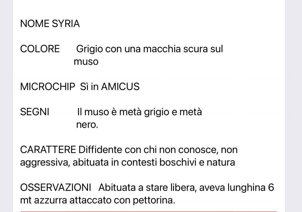 Syria dispersa