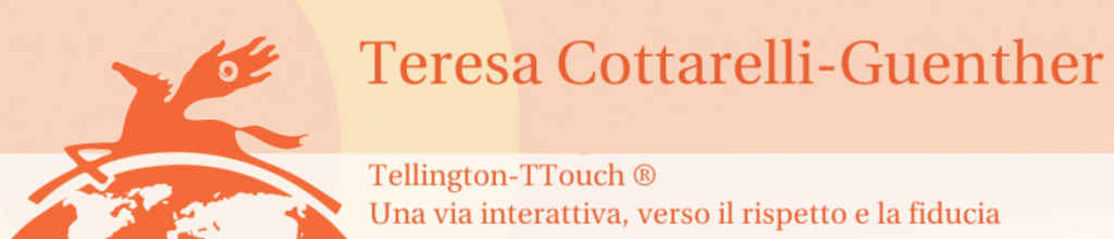 T-Touch