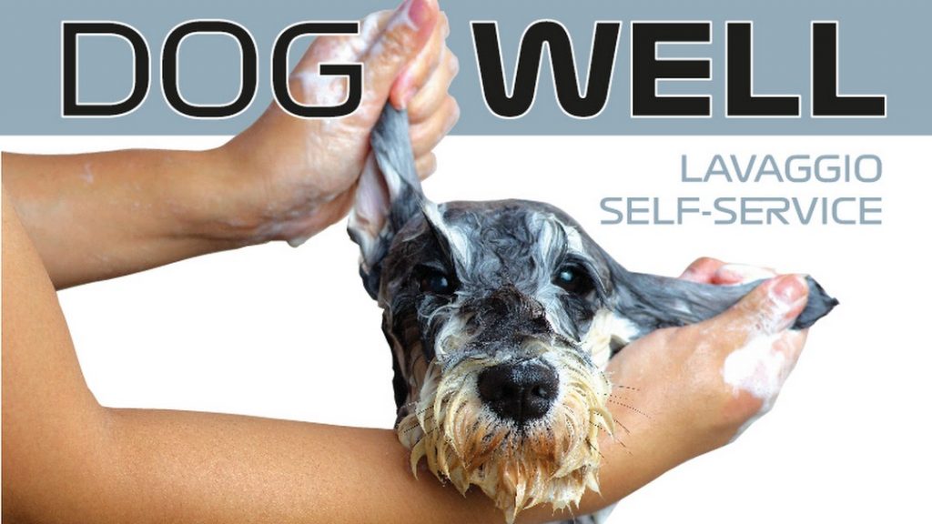 DogWell lavaggio Self Service