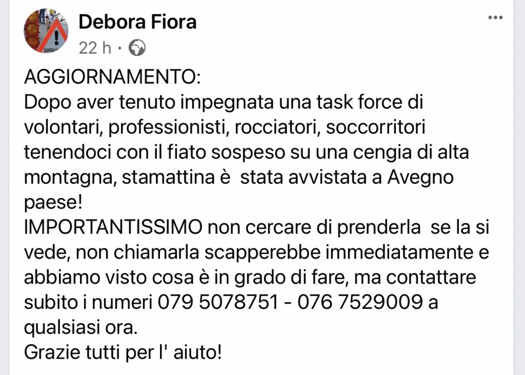 Gioia smarrita