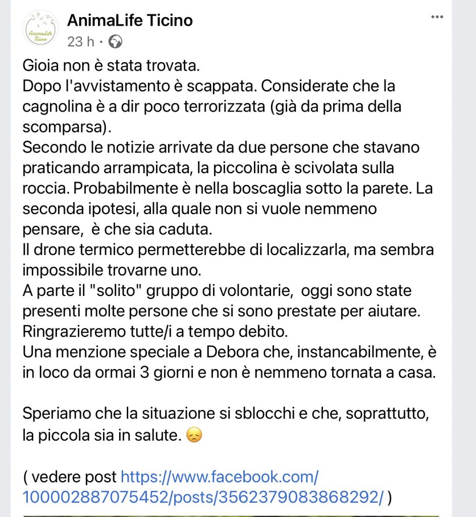 Gioia smarrita