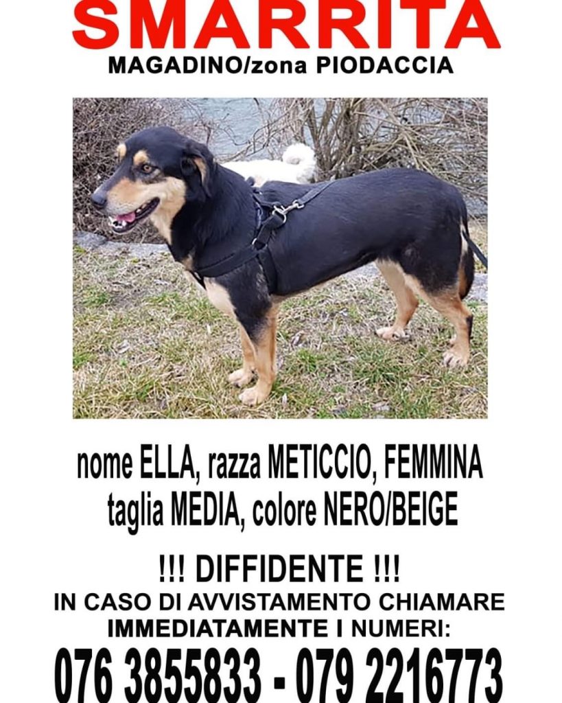 Ella smarrita