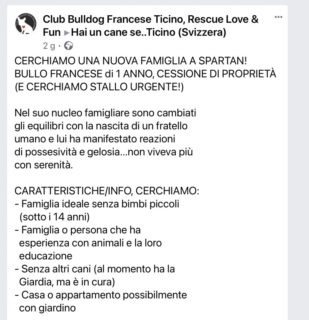 CBFT Spartan cerca casa