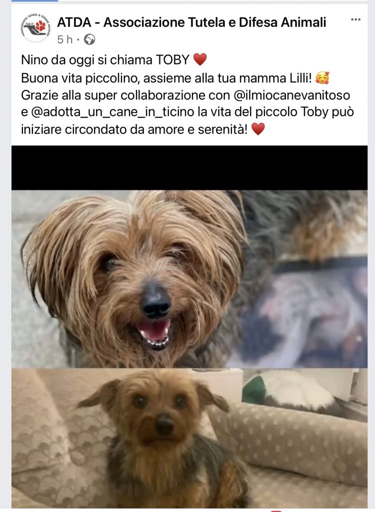 ATDA Nino Toby