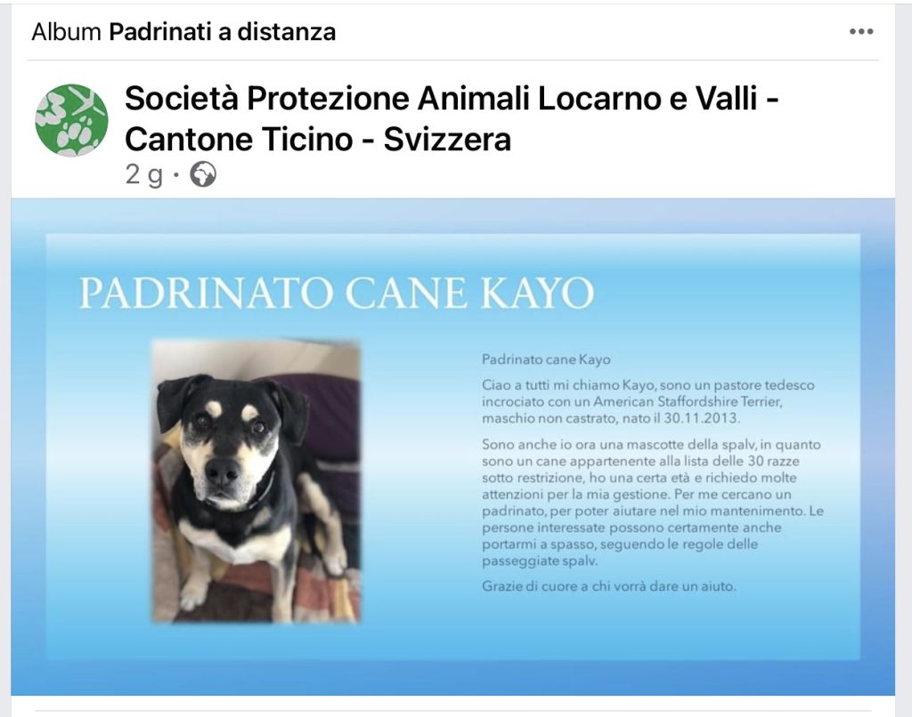 PADRINATO KAYO SPALV