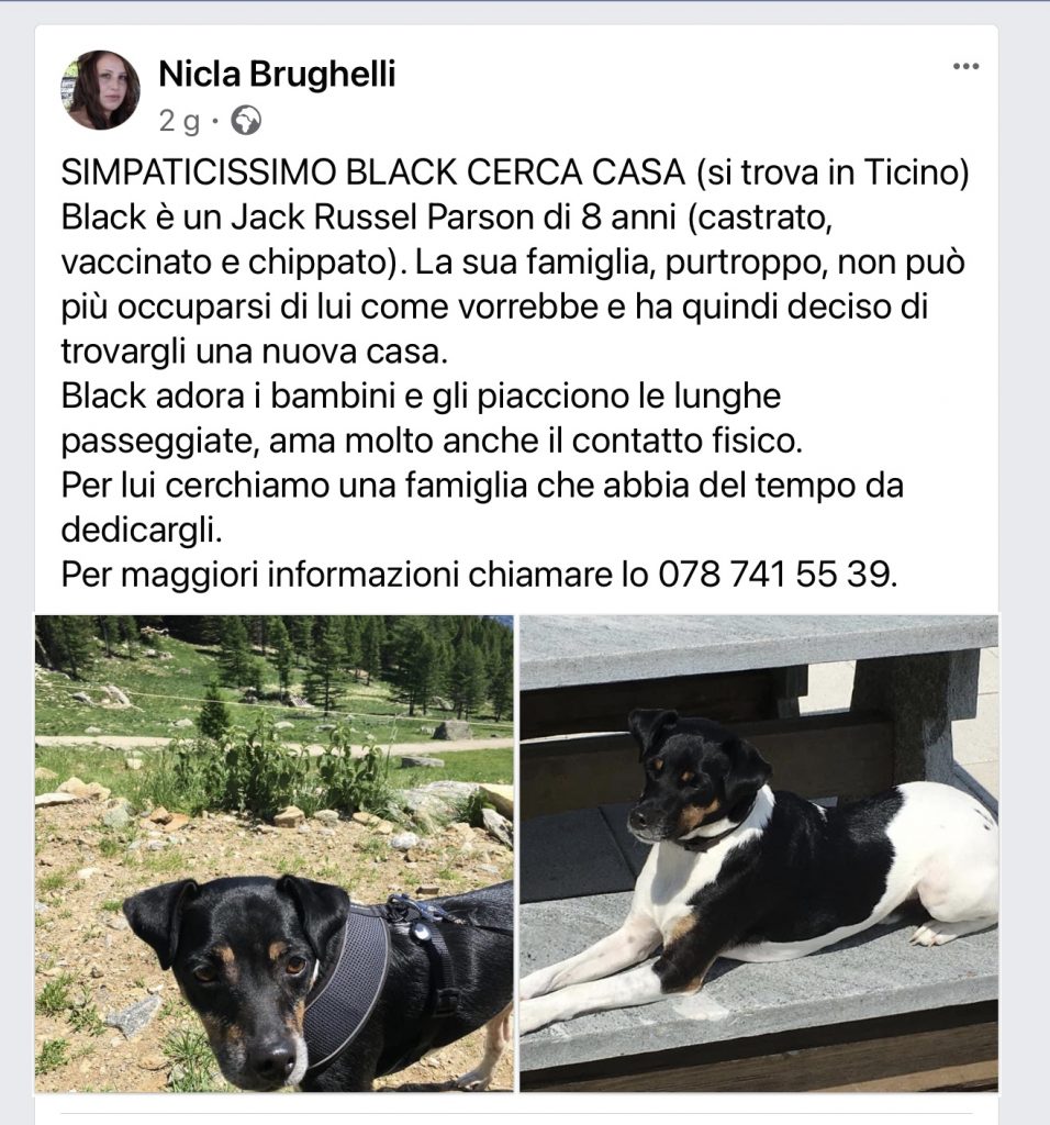 Black cerca casa 