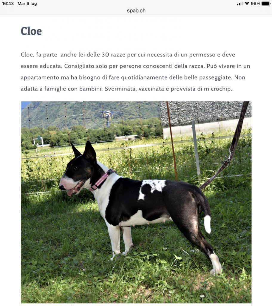 Cloe cerca casa SPAB