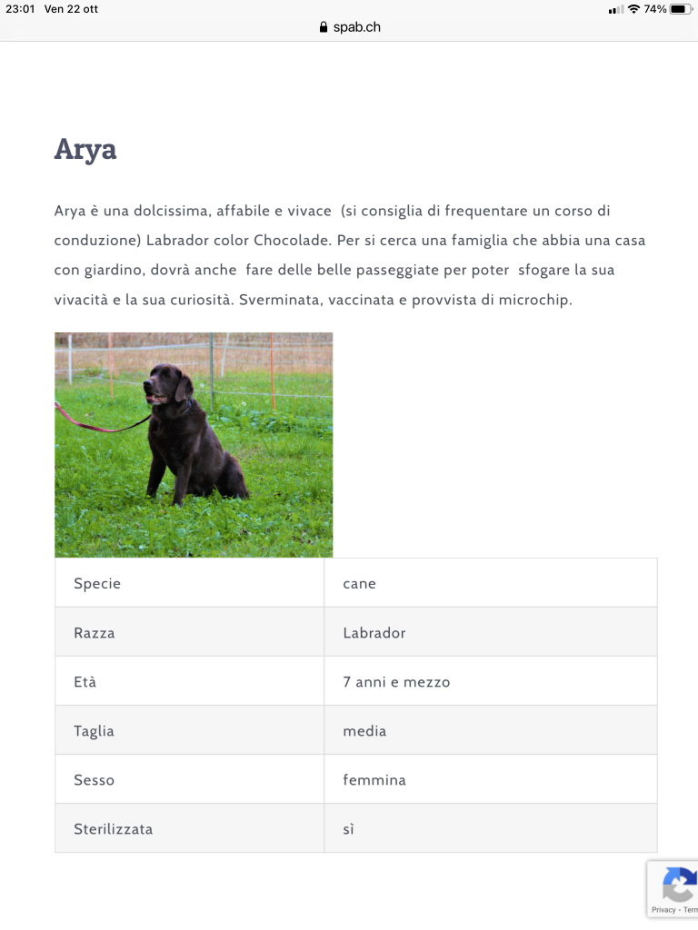 ARYA cerca casa SPAB