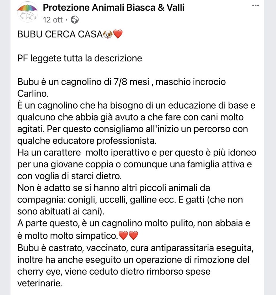 Bubu cerca casa SPABiasca
