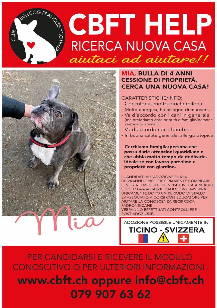 Mia cerca casa cbft