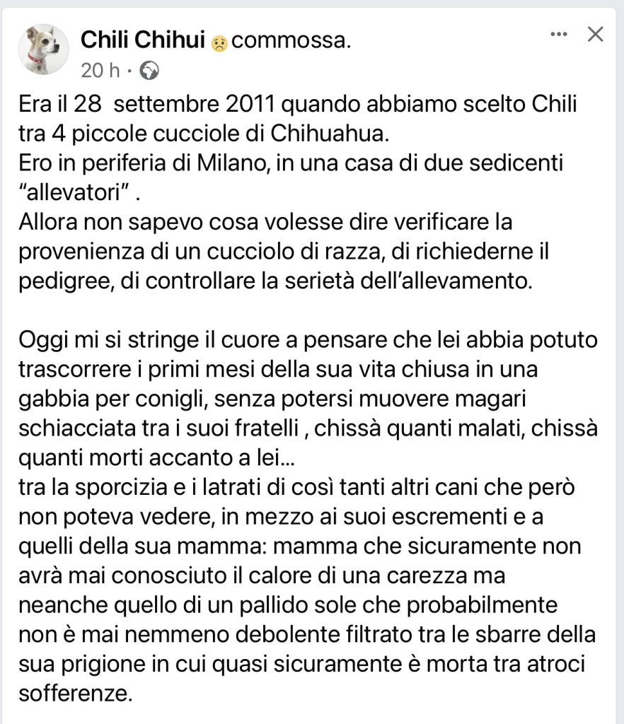 Chili Chihui