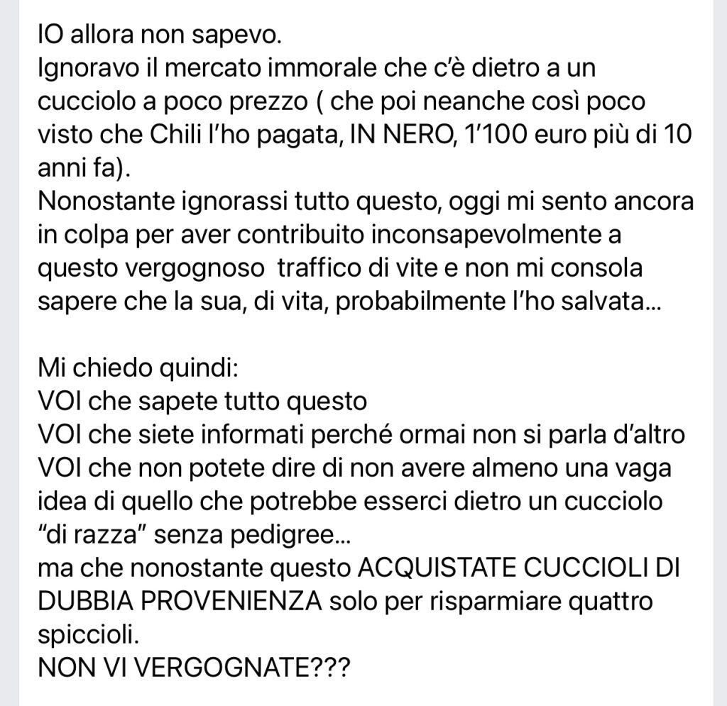 Chili Chihui