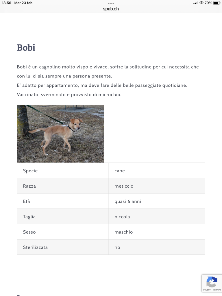 BOBI SPAB