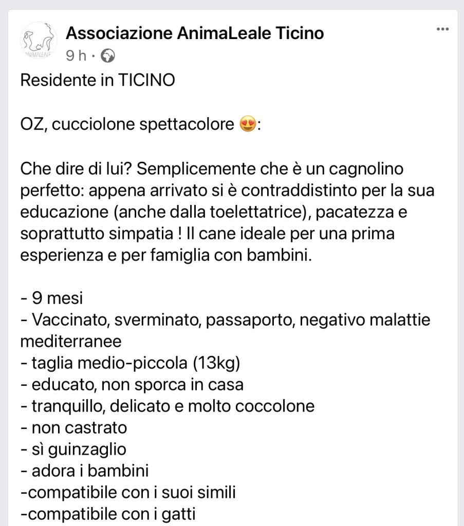 OZ cerca casa