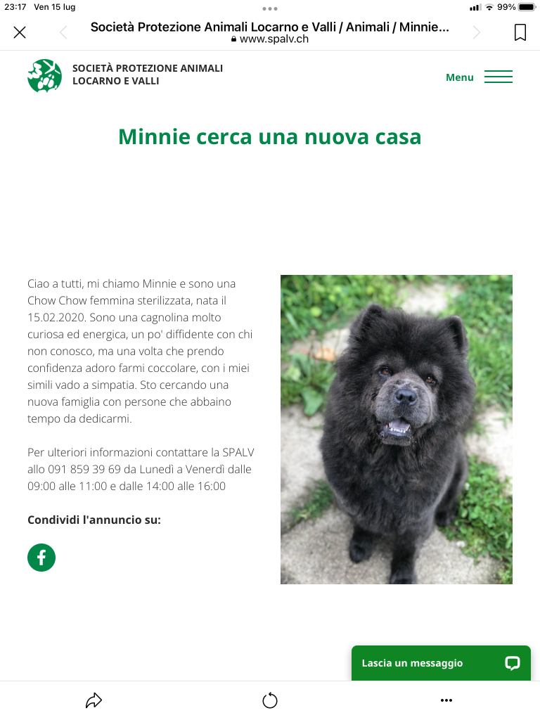 MINNIE CERCA CASA SPALV