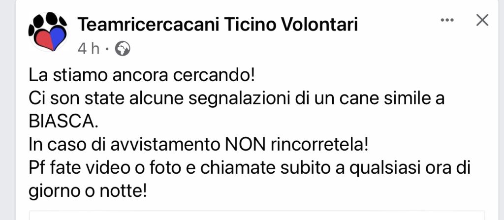 Teamricercacani TI