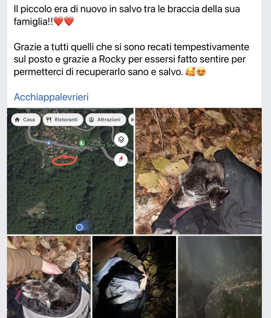 Team Ricercacani TI Rocky