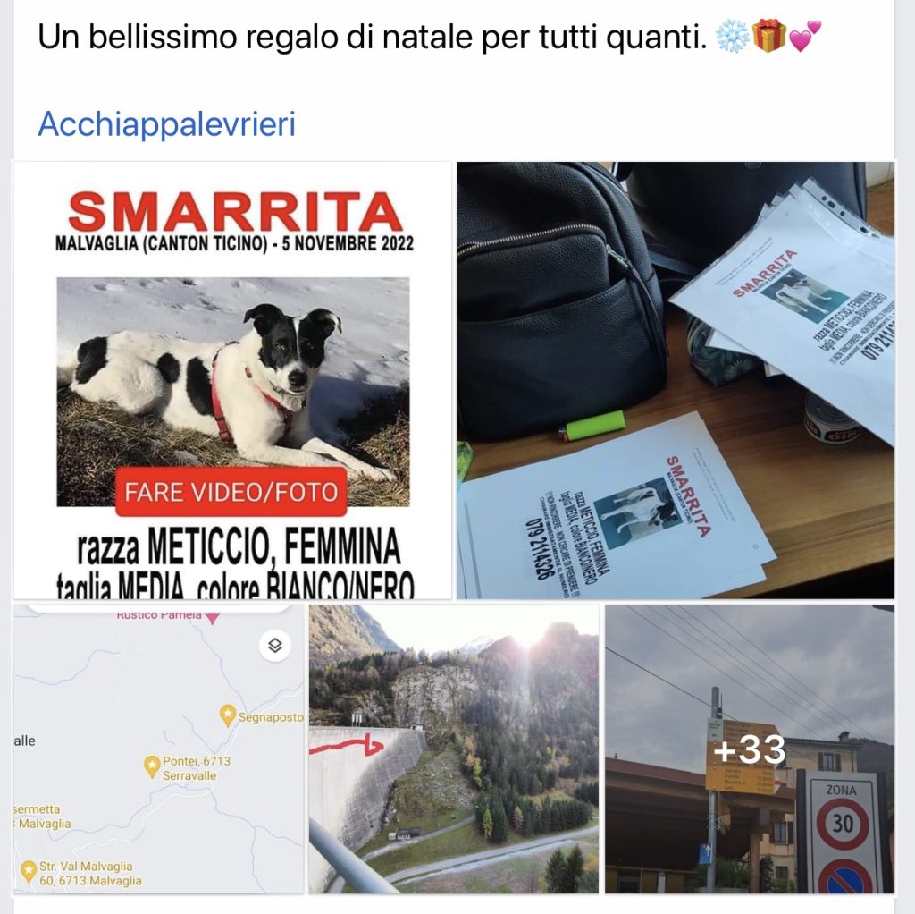 MAIDA