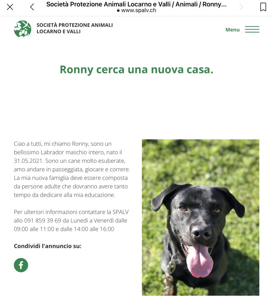 RONNY CERCA CASA SPALV