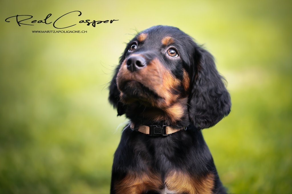 Realcasper Martiza Polignone