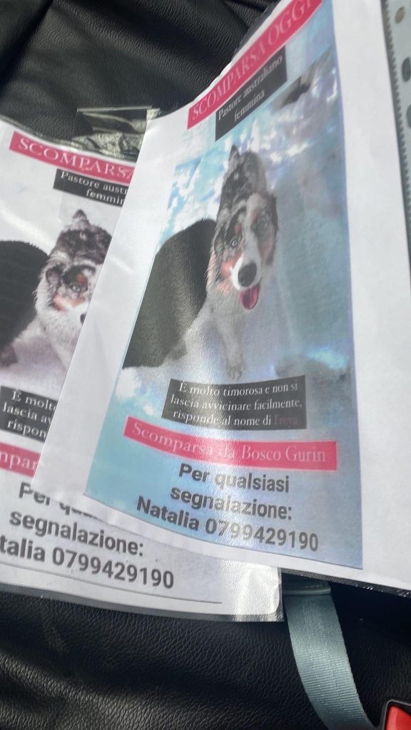 Teamricercacani Ticino Volontari Freya