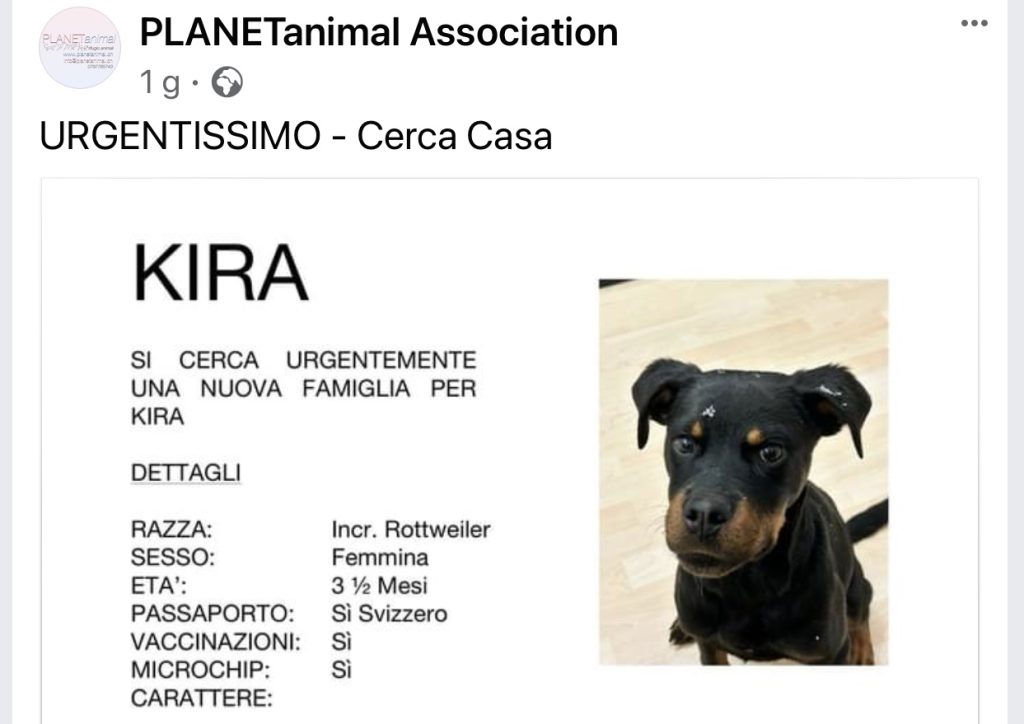 Kira cerca casa PlanetAnimal