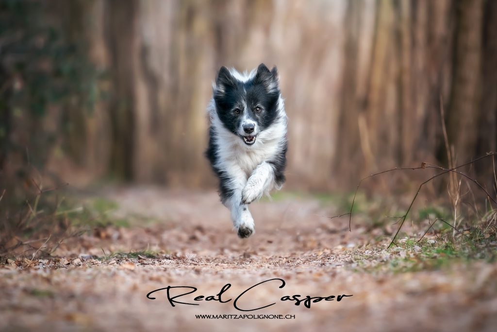 Realcasper Martiza Polignone