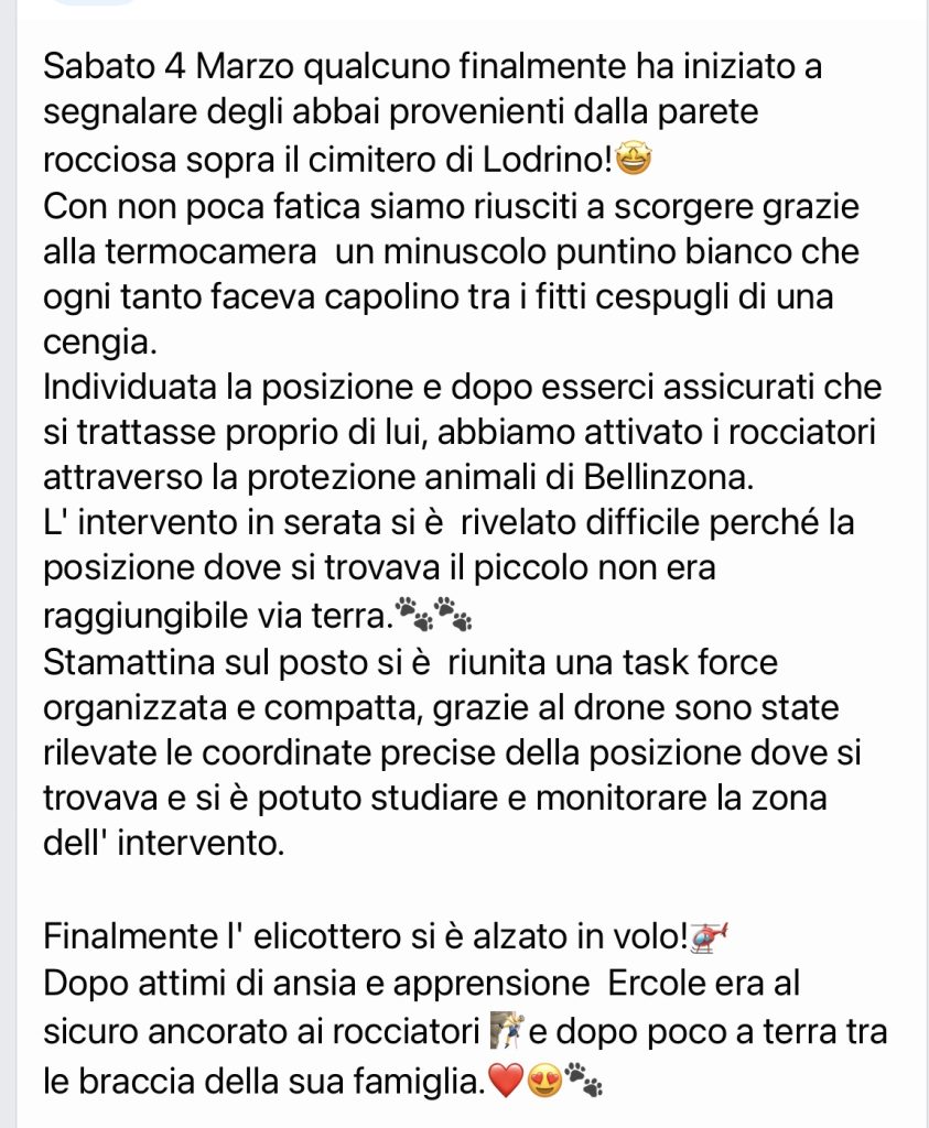 Ercole salvato TeamRicercaCani Volontari