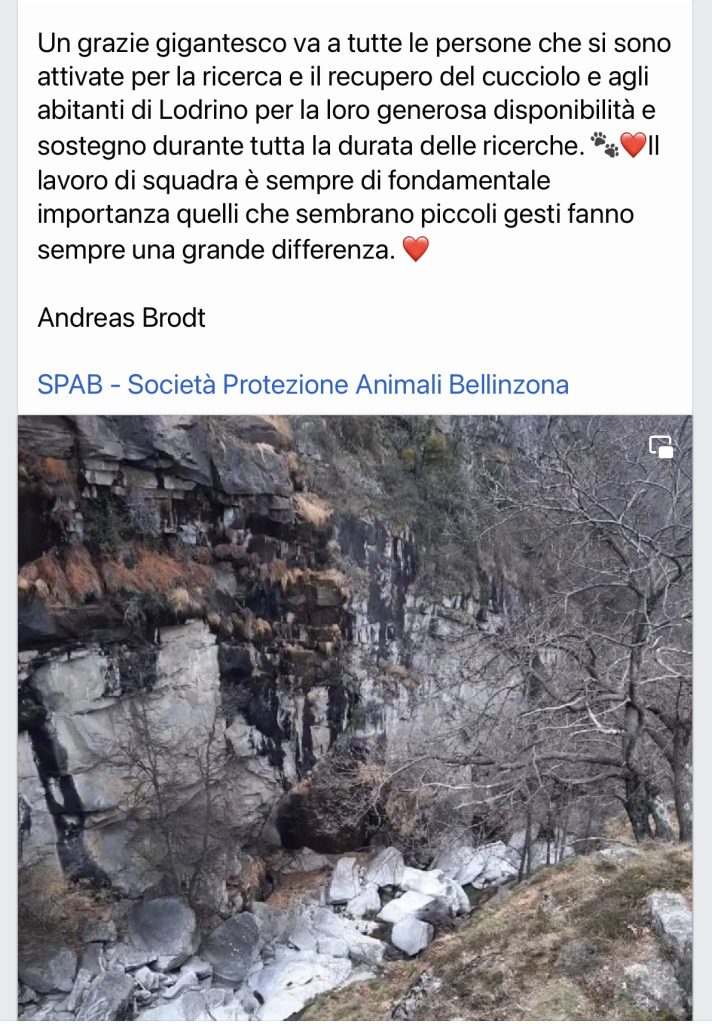 Ercole salvato TeamRicercaCani Volontari