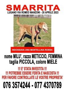 Milu Teamricercacani Ticino Volontari