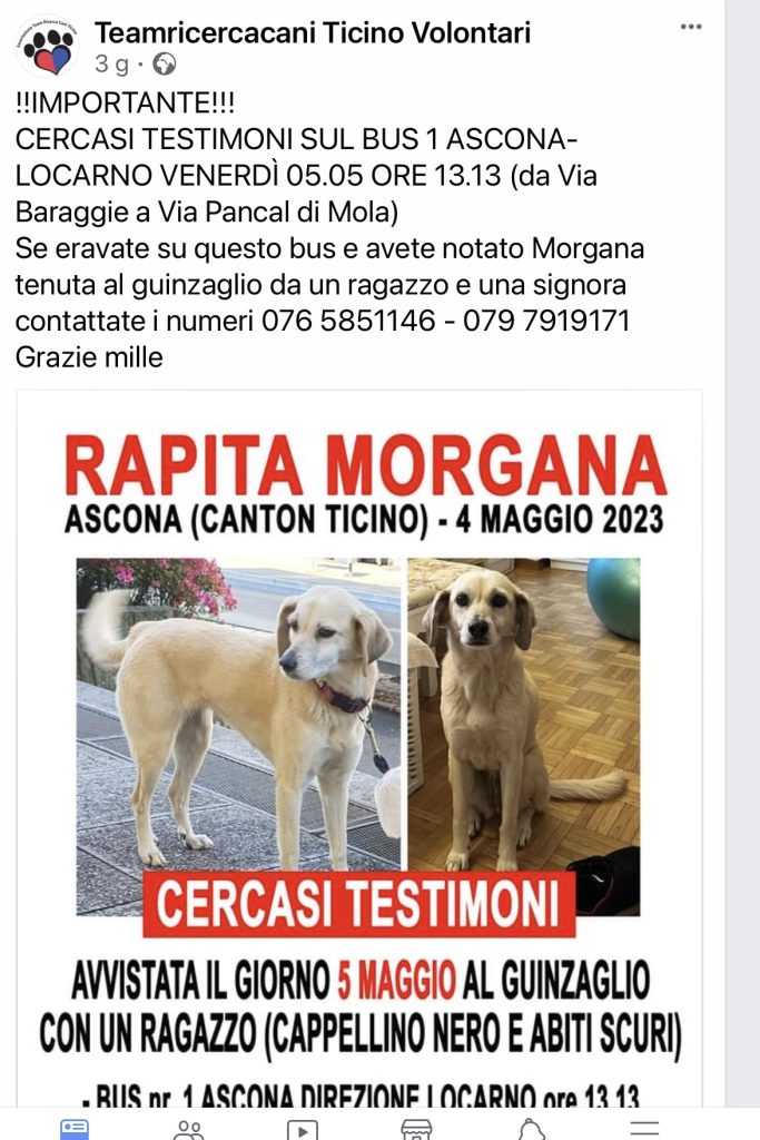 MORGANA Team Ricerca Cani Volontari