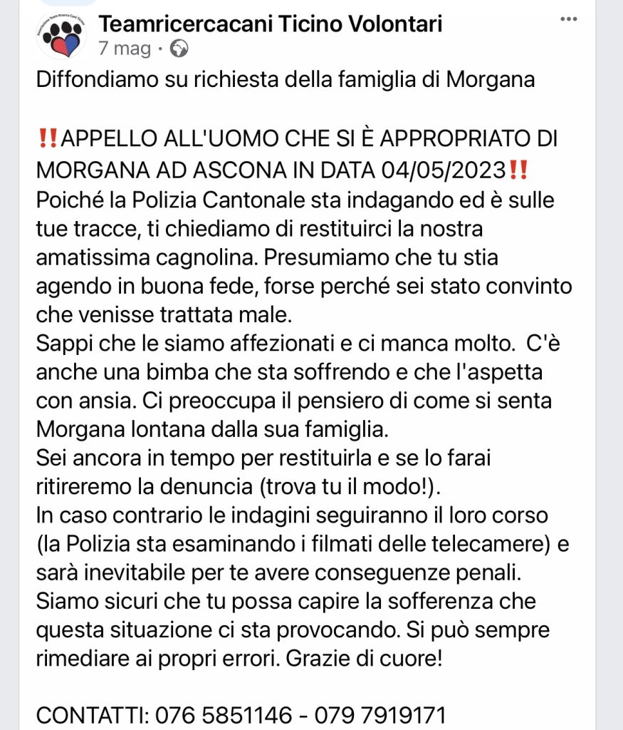 MORGANA Team Ricerca Cani Volontari