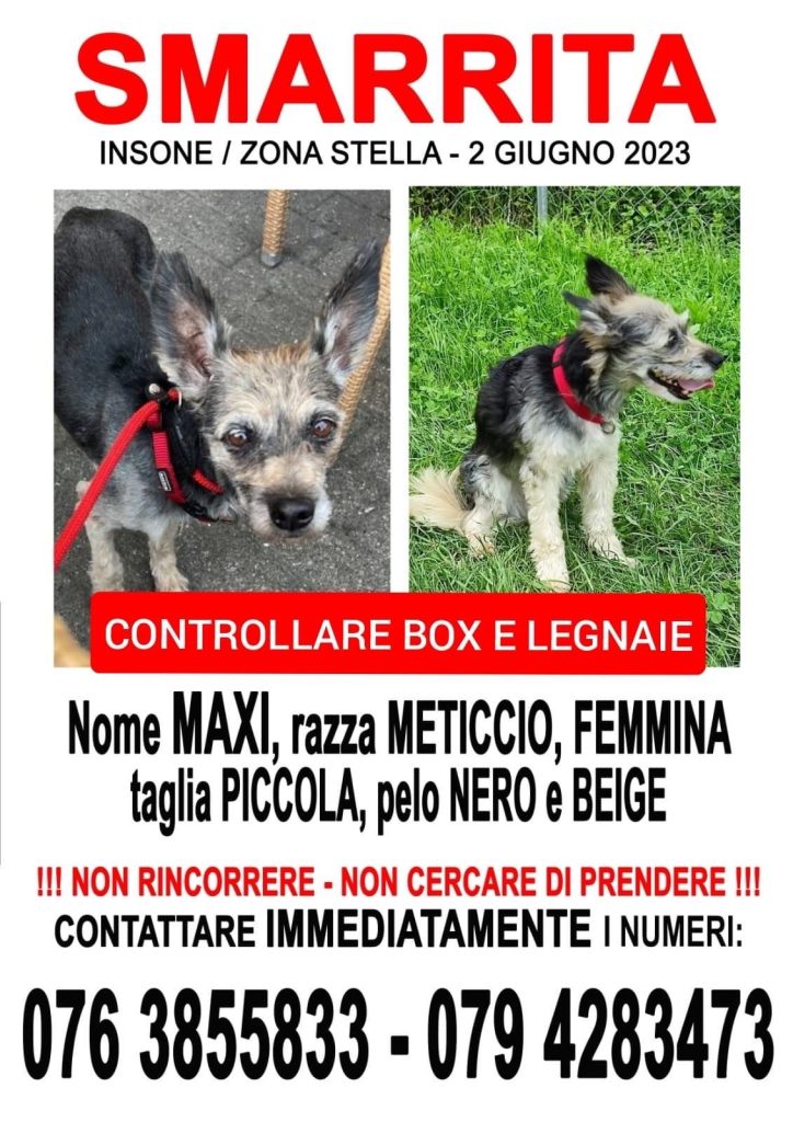 Maxi smarrita