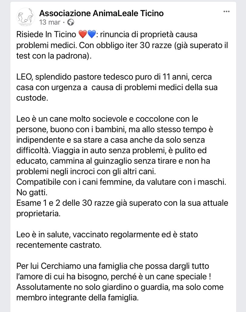 Leo cerca casa
