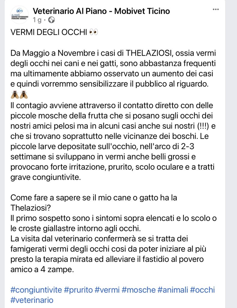 Thelazia Veterinario al Piano