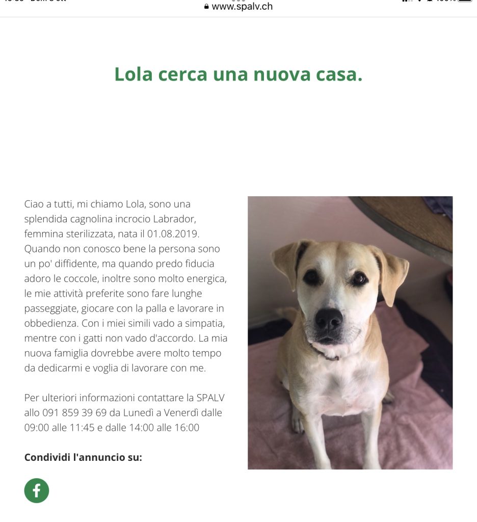 Lola cerca casa SPALV