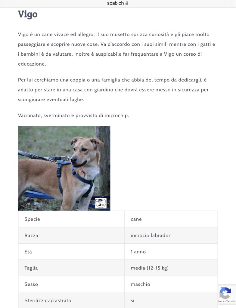 VIGO CERCA CASA SPAB