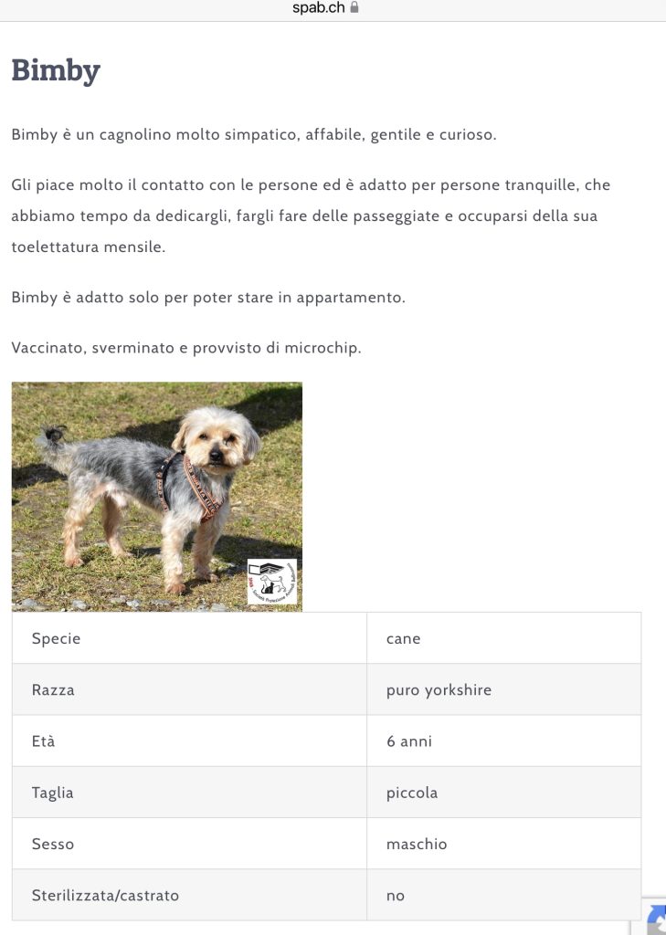 BIMBI CERCA CASA SPAB