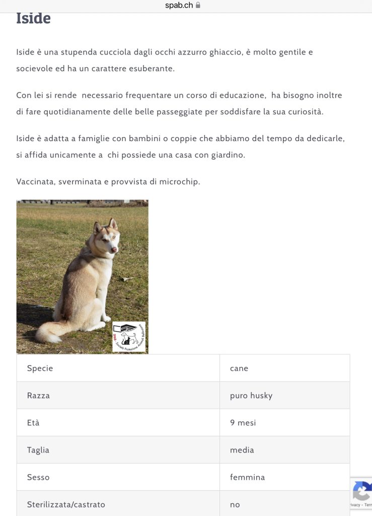 ISIDE CERCA CASA SPAB