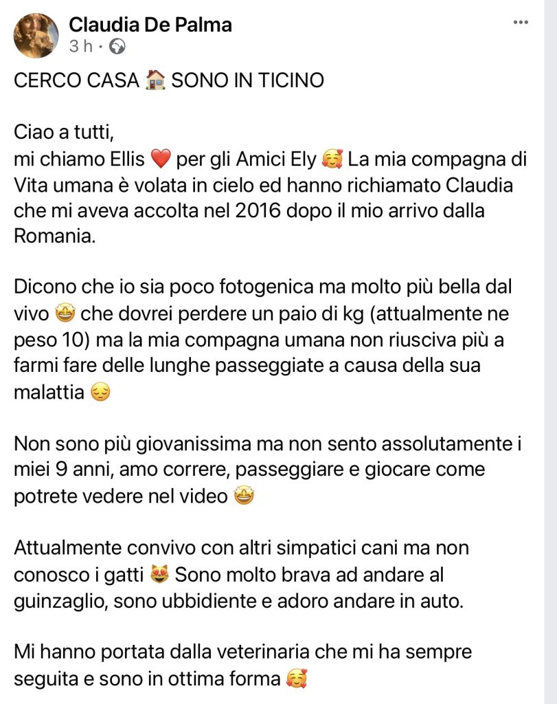 Ely cerca casa - privato