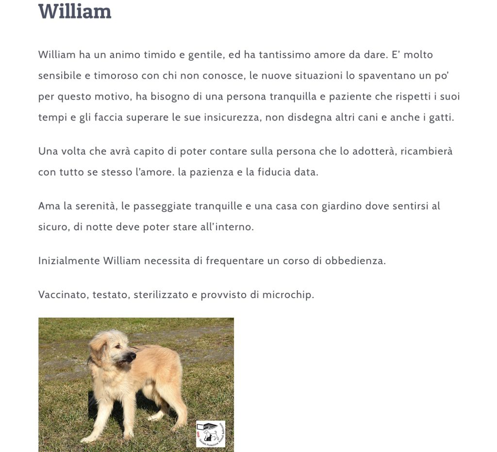 WILLIAM CERCA CASA SPAB