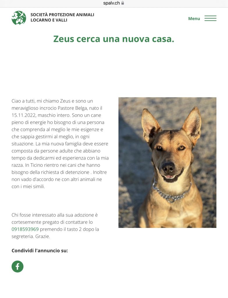ZEUS CERCA CASA SPALV