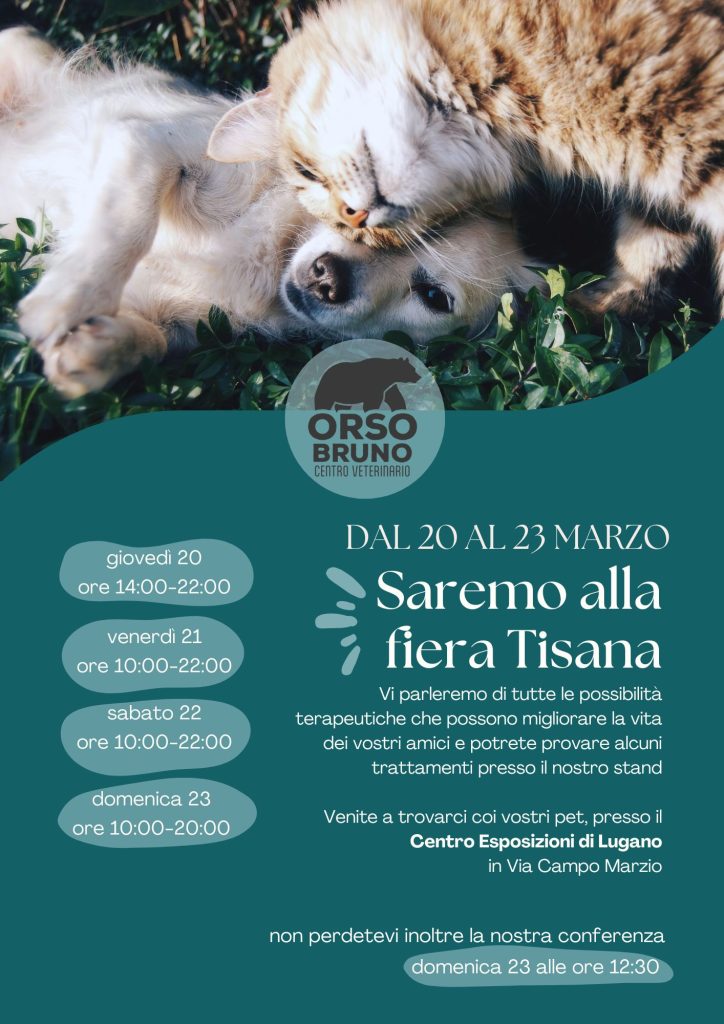 ORSO BRUNO TISANA