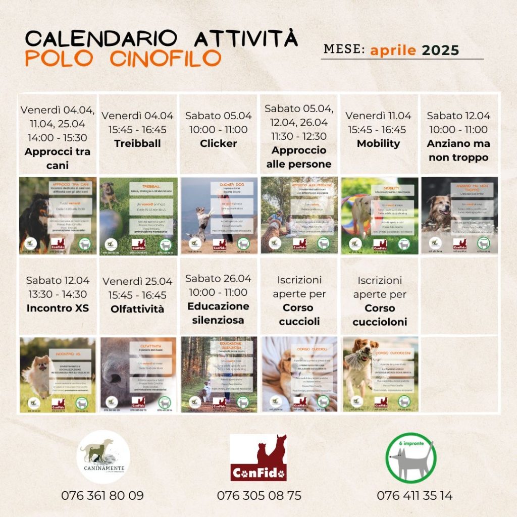 attività aprile 2025 Caninamente ConFido 6impronte