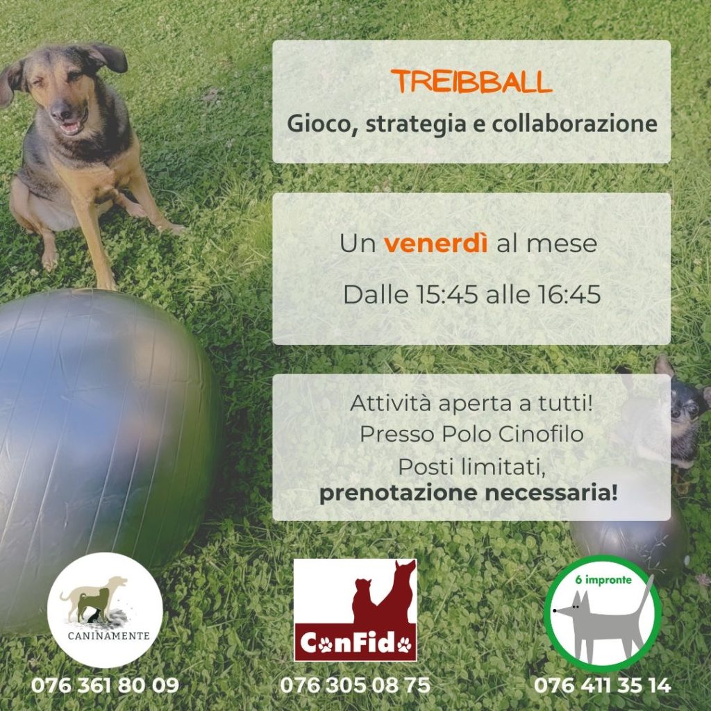 Treibball Caninamente ConFido 6 impronte